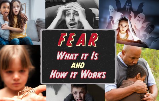 Educational guide on Fear